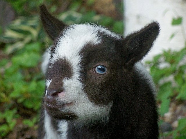 1aa9e283338fee8f7c5213ddcf77b2f0