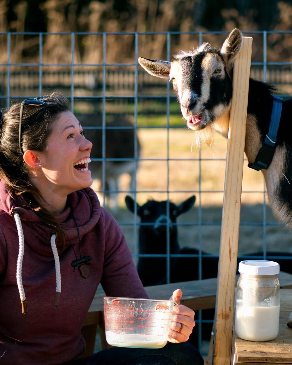 2a51b093 e3a8 4553 9ec9 57f85af2bff1