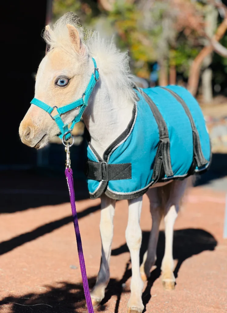 3451ea2c 6ea1 4a73 be76 54d503bc2a12