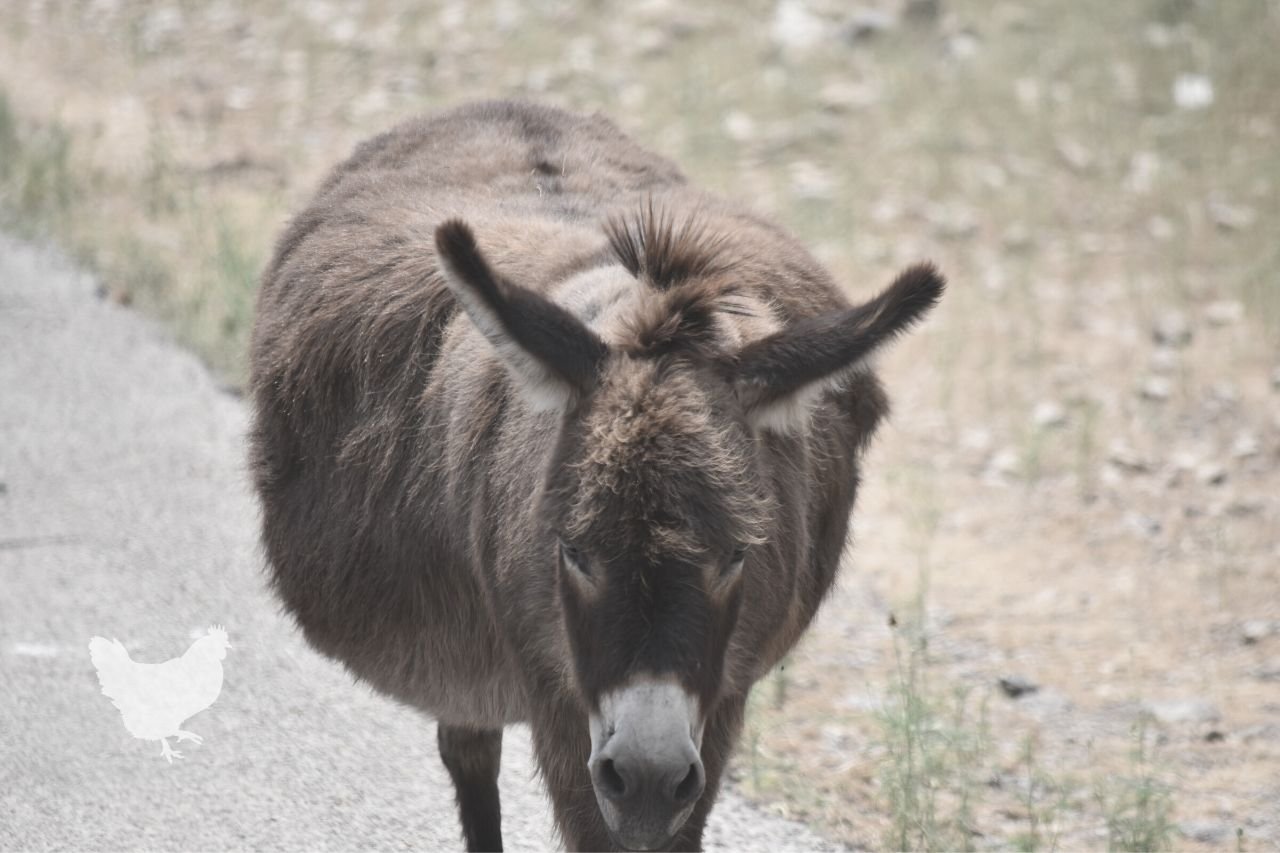 xr:d:daetvlhg4 k:357,j:29780162035,t:22063008