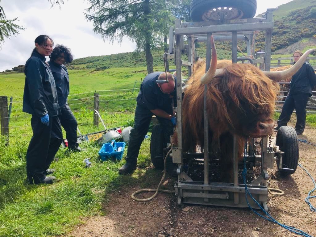 580c3d06 eb15 4bce 82b7 2a83d58277e3