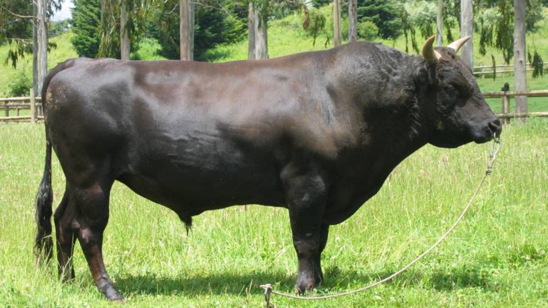 6b804f9c13b15b3efd4580078afa6820