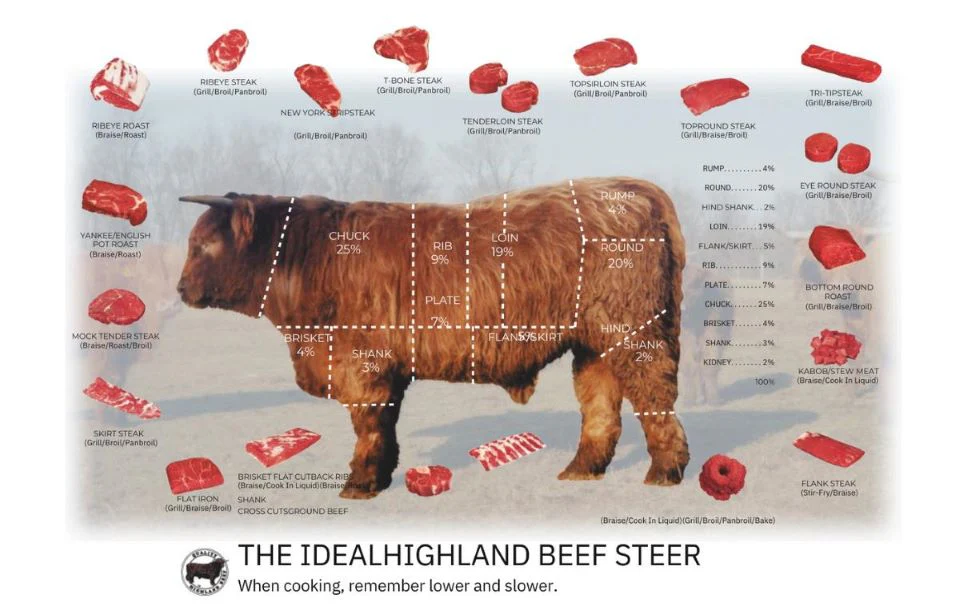 acha steer with cuts jpg 0ebeeb01 b40e 44c3 b155 c973786048e5