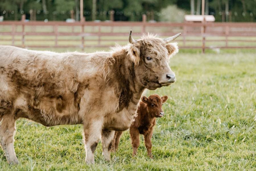 blog body photos 2025 01 31t141357.398