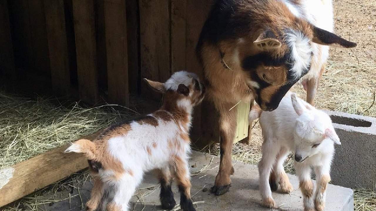 htqhbsnrms0zptx8uxhh 8 optimized