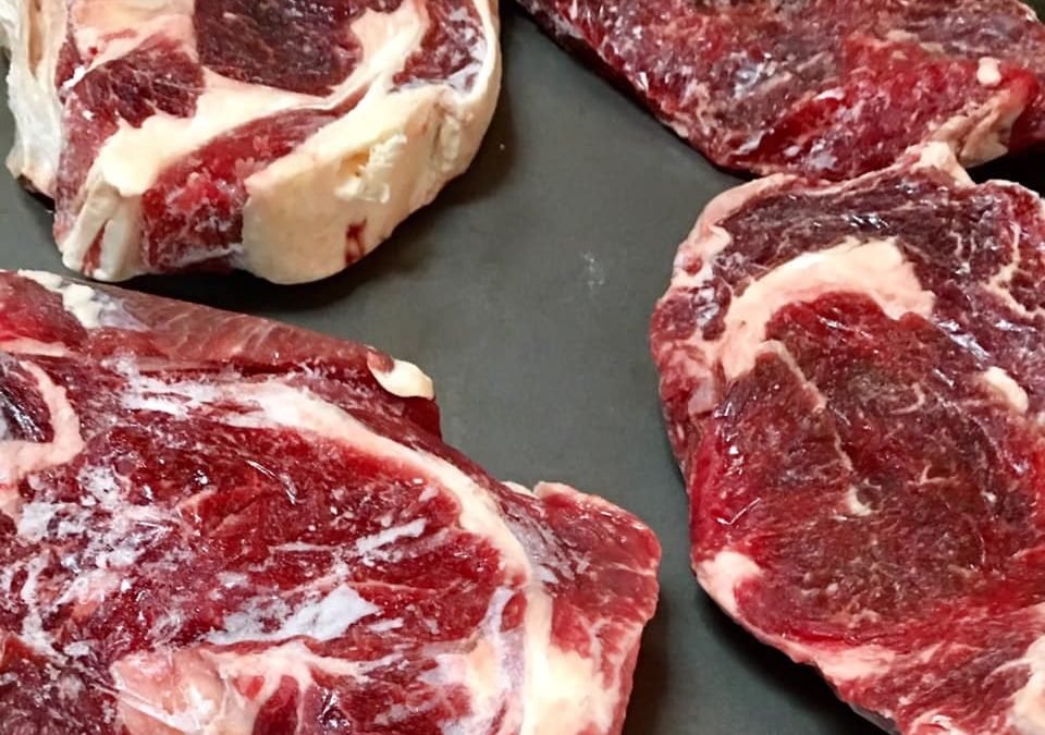 highland cattle meat