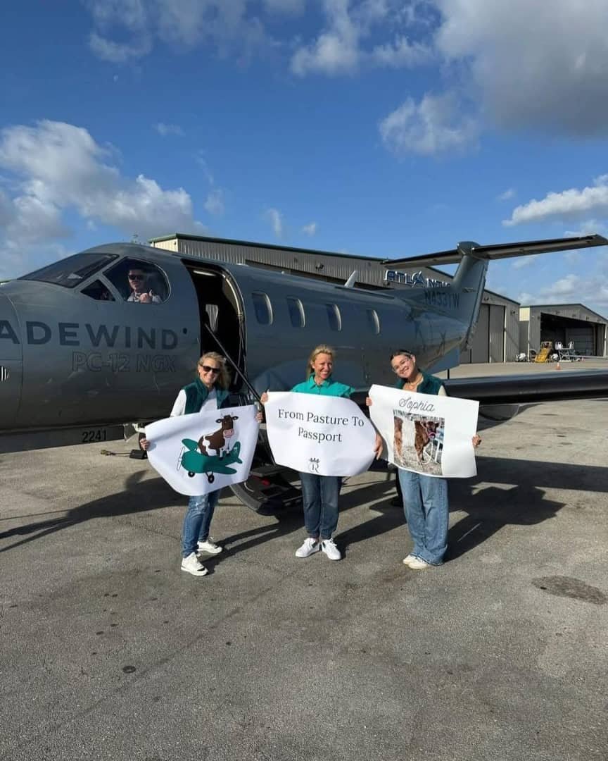 whatsapp image 2025 05 18 at 6.04.28 pm