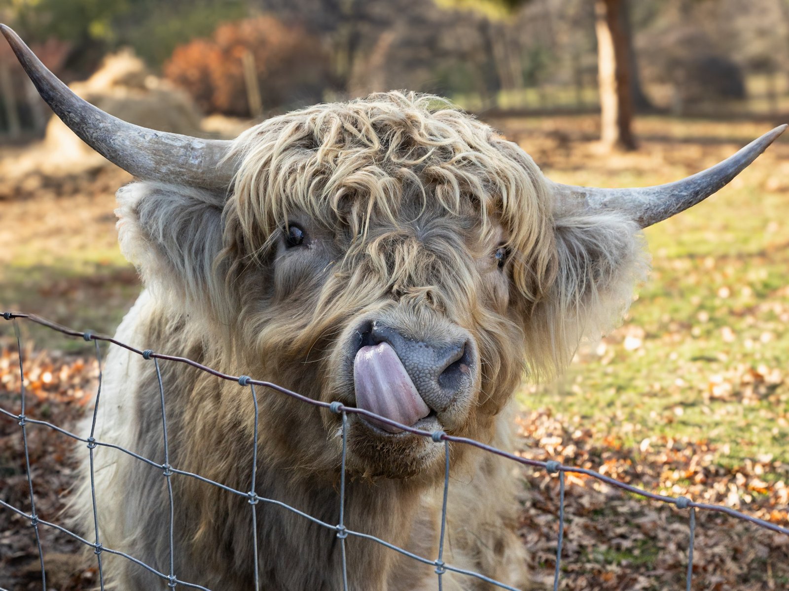 a1e33b c36e0dbbeb954542a7af3379247b0fba~mv2