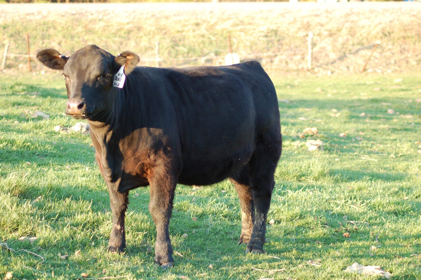 ????????????????????????????????????