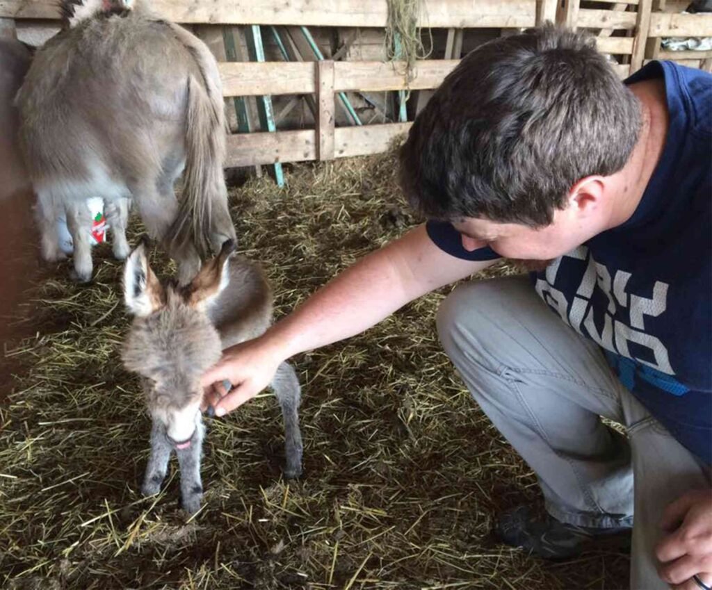 tiny tim 41 1 be8a7acb4e3c48d8b9ed2a43fe649812