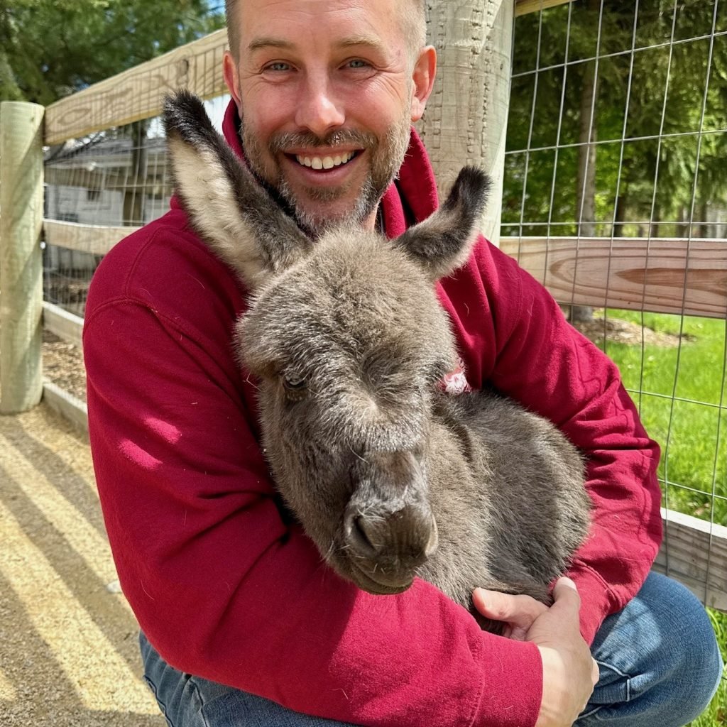 micro mini donkey for sale