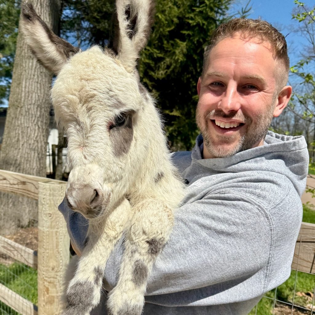 Donkeys for Sale Near Me